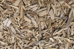 biomass boilers Bruichladdich